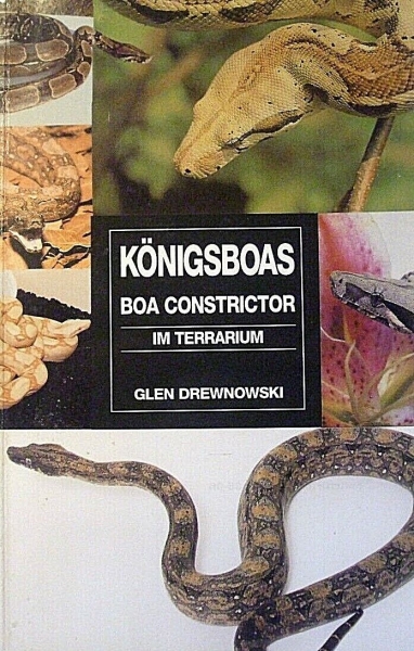 Königsboas - Boa Constrictor im Terrarium von Glen Drewnowski